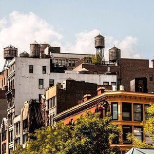 Meet your Posher, Peter